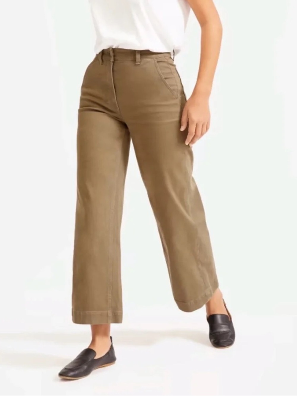 Everlane Wide-Leg Pants in Chestnut Brown